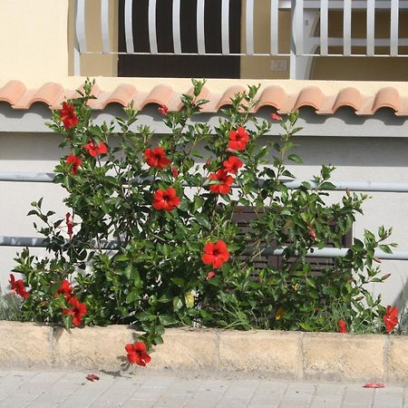 Baia Dei Canonici Aparthotel Villaggio Le Rocelle Εξωτερικό φωτογραφία