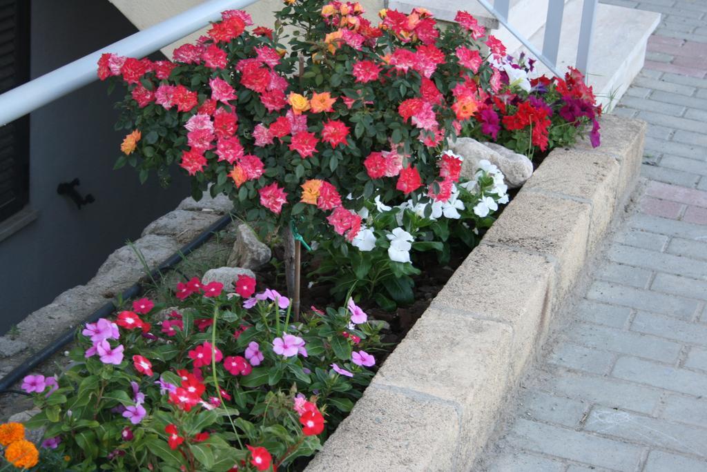 Baia Dei Canonici Aparthotel Villaggio Le Rocelle Εξωτερικό φωτογραφία